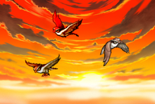 Messenger hawks