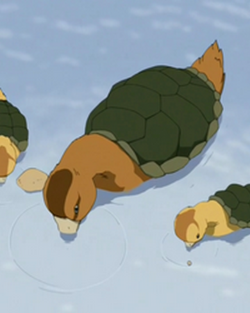 Turtle Duck Avatar Wiki Fandom