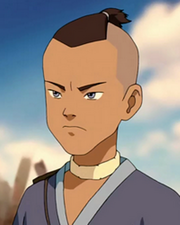 Avatar The Last Airbender Wiki Sokka