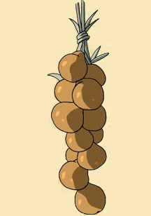 Aschebanane