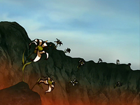 Panda lily on top of the mountain