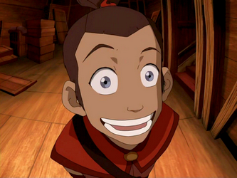 Avatar The Last Airbender Wiki Sokka