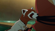 Pabu masticando cuerdas