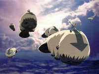 Bisonte volador | Avatar Wiki | FANDOM powered by Wikia