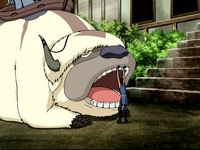 Sokka and Appa
