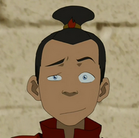Top Knot Avatar Wiki Fandom