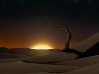 Desert sunset