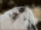 Sturm-Traum