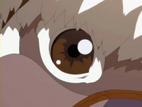 Appa heard whistle