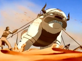 Appa Avatar Indonesia Wiki Fandom