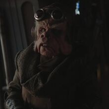 The Mandalorian S01e02 Chapter 2 The Child Film And Television Wikia Fandom