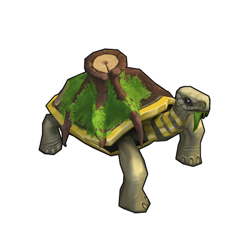 File:Forest Tortoise.png