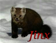 IMG 20130113 191141