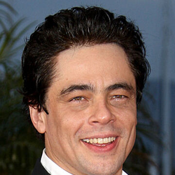 Download Benicio del toro frau Free