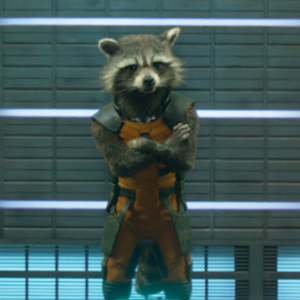 Rocket Marvel Filme Wiki Fandom