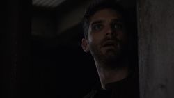 Shaw Realizes