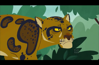 Leopardo Nebuloso