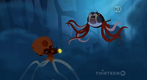 Octopus Wildkratticus 1