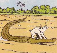 Croco