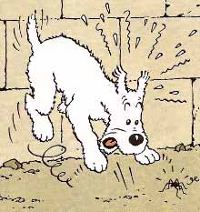 Milou