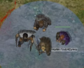 Gargrim et son équipe