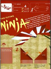 Flying ninja 2