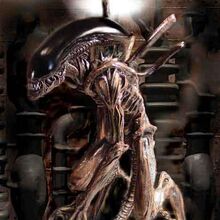 Cloned Xenomorph Xenopedia Fandom