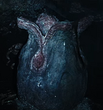 Ovomorph Planet 4