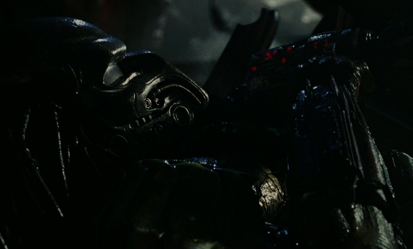 Alien Vs Predator Porn Gif - Alien Vs Predator Porn Gif | Sex Pictures Pass