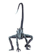 Arachnoid - 2