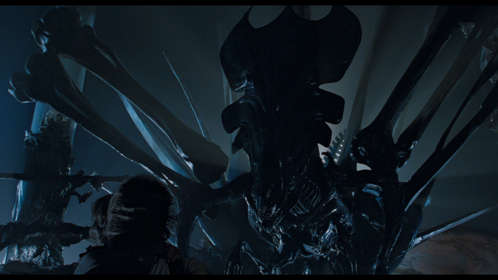 Xenomorph Alien Vs Predator 2