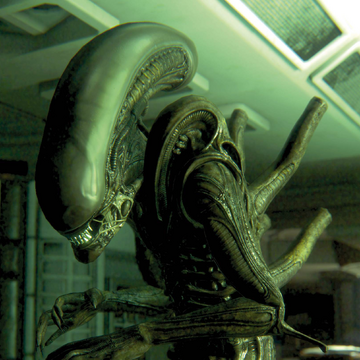 Alien Xenomorph Drone