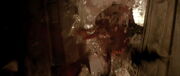 David's death