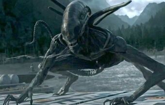 Xenomorph From Alien Covenant