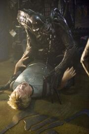 Aliens vs Predator 120820b-1-