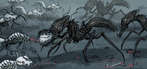 Mutated ant factions