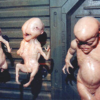 Failed Ripley Clones Xenopedia Fandom