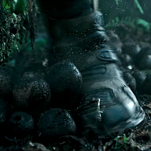 Egg Sack Xenopedia Fandom