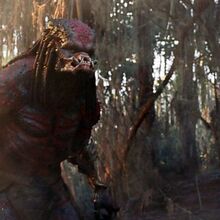 Yautja Predator Xenopedia Fandom