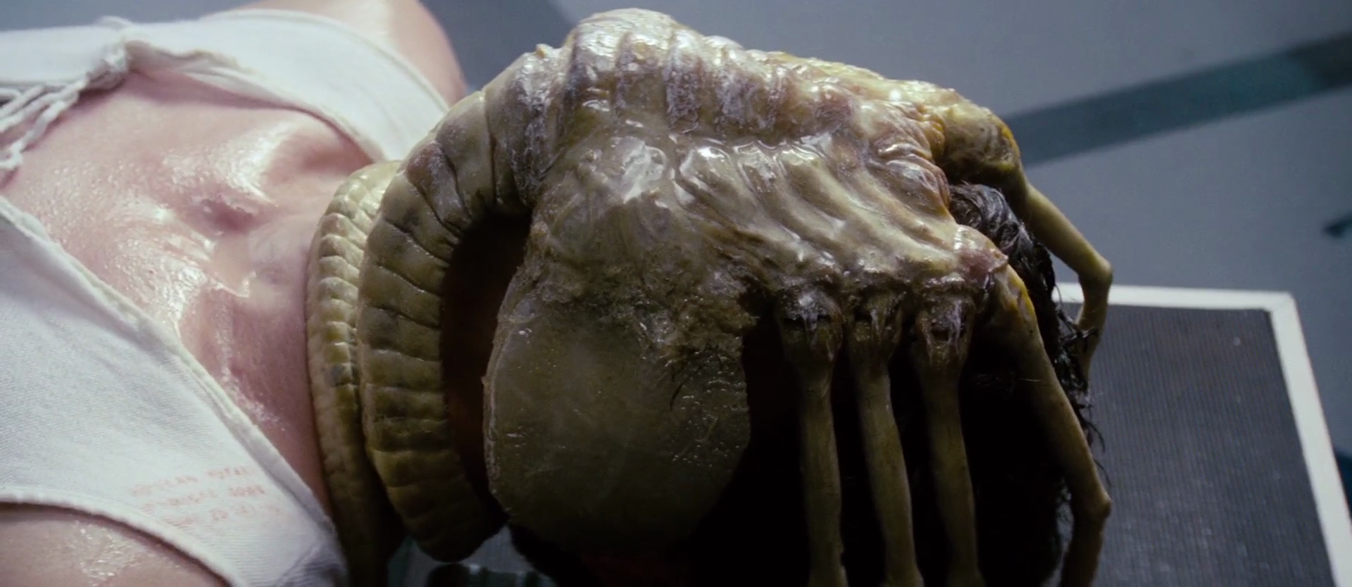 Alien Xenomorph Facehugger