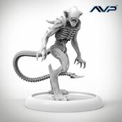 Avp-alien-royal-guard