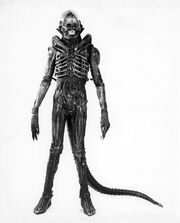 01060 Alien Sibthorp