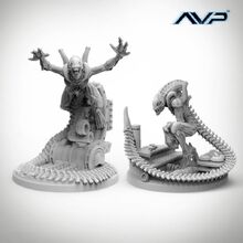 Evolved-warriors