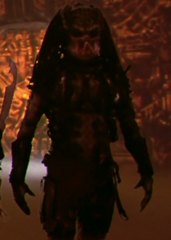 predator lost