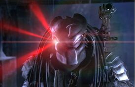 Predator