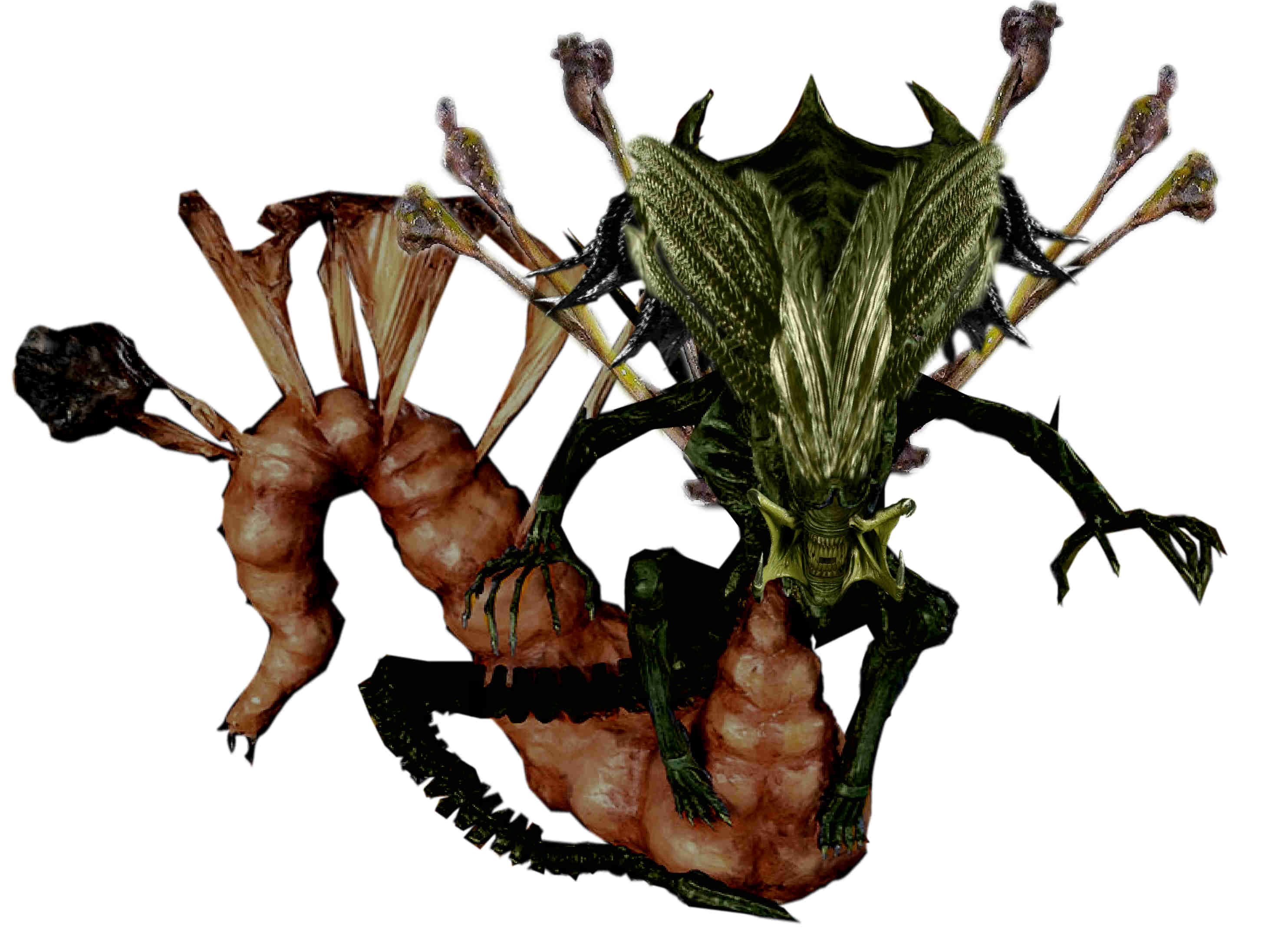 download predalien queen