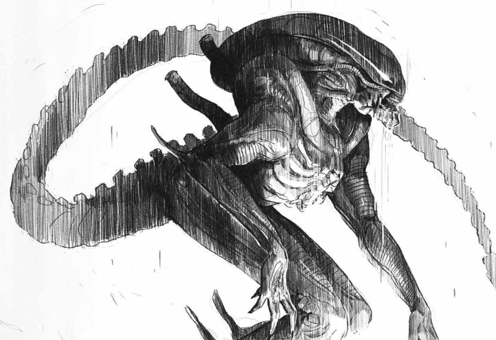 Xenomorph Alien Vs Predator Drawing