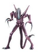 Razor Claws