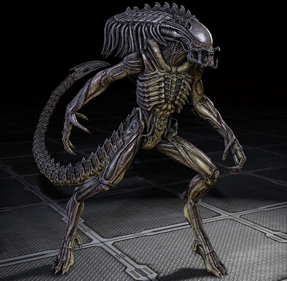 Alien Vs Predator Game Xenomorph