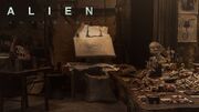 Advent title